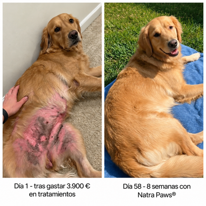 Natria Paws® Colágeno Líquido Premium