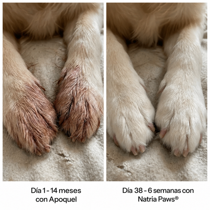 Natria Paws® Colágeno Líquido Premium